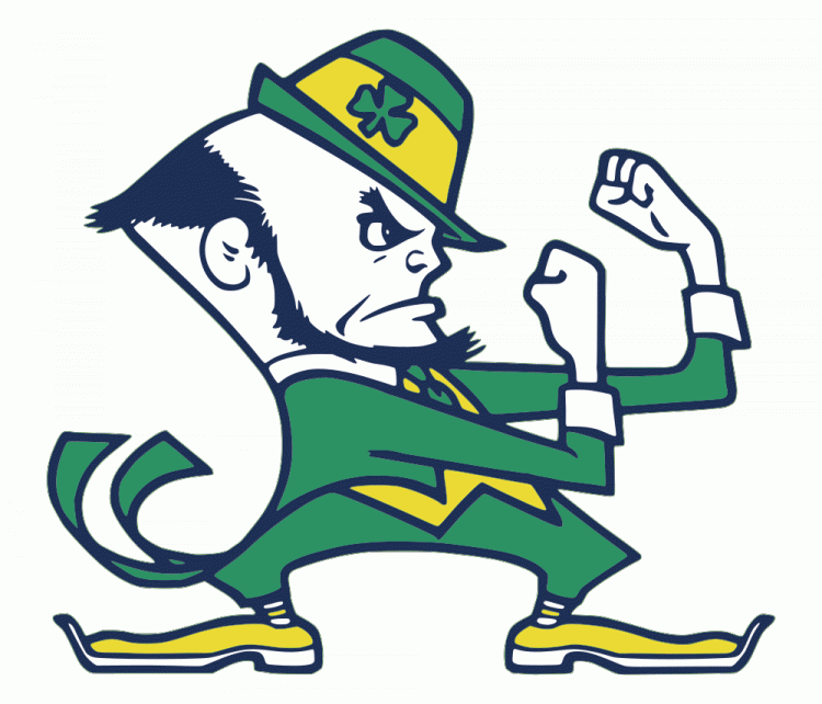 Notre Dame Fighting Irish 1984-Pres Alternate Logo iron on transfers for T-shirts